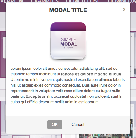 The nicely styled Simple Modal Popup