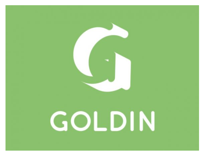 Goldin Typeface